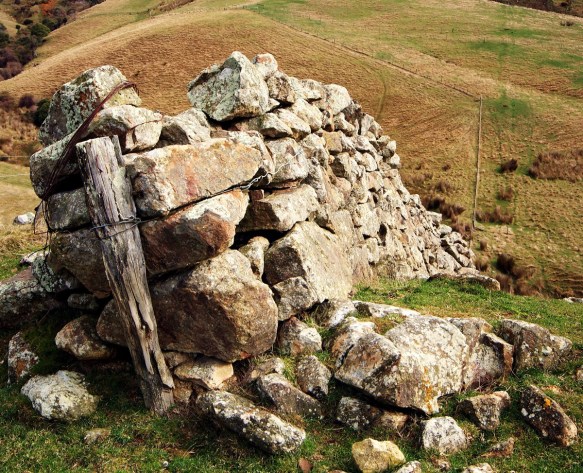 Stone wall remnant near the Hunter family house