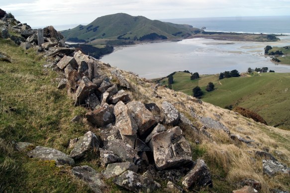 Columnar Basalt on Harbour Cone Summit was part of the Dunedin volcano