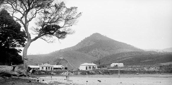 Hereweka from Latham Bay