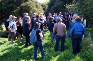 Conference Delegates 