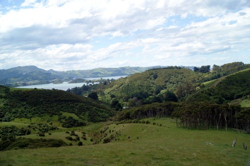 Overview of Smiths Creek