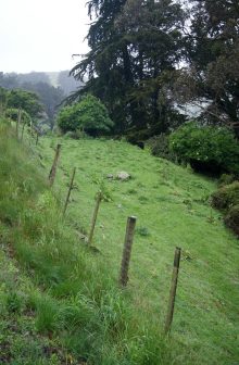 Site of the Hereweka Cheese Fact